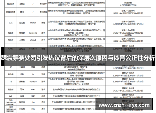 魏震禁赛处罚引发热议背后的深层次原因与体育公正性分析