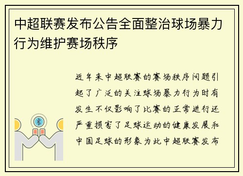 中超联赛发布公告全面整治球场暴力行为维护赛场秩序