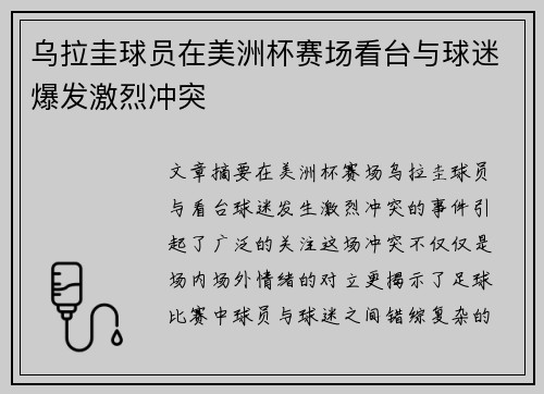 乌拉圭球员在美洲杯赛场看台与球迷爆发激烈冲突